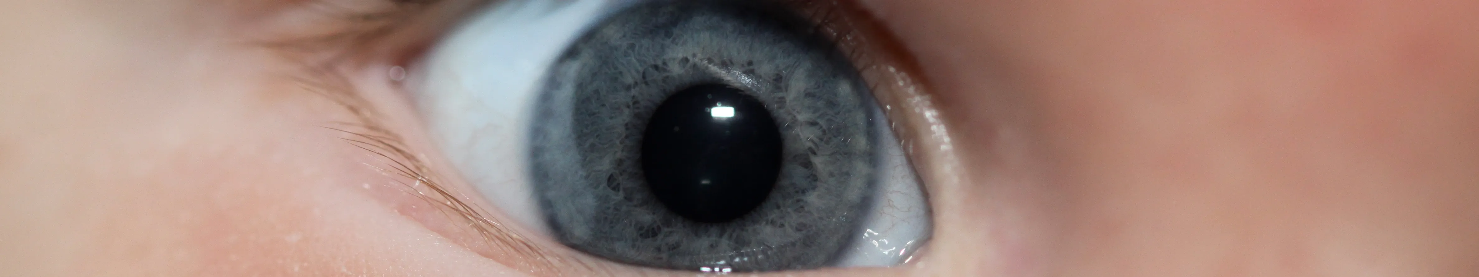 Close-up van een oog