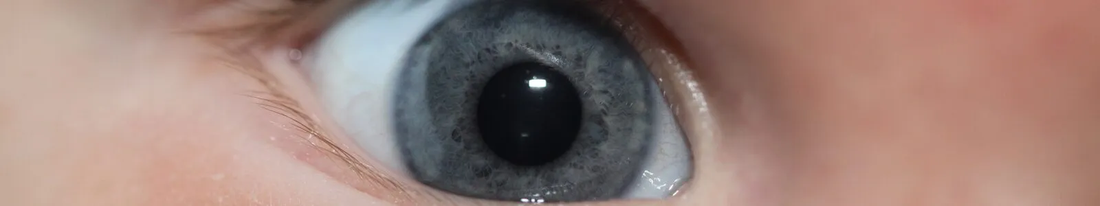 Close-up van een oog